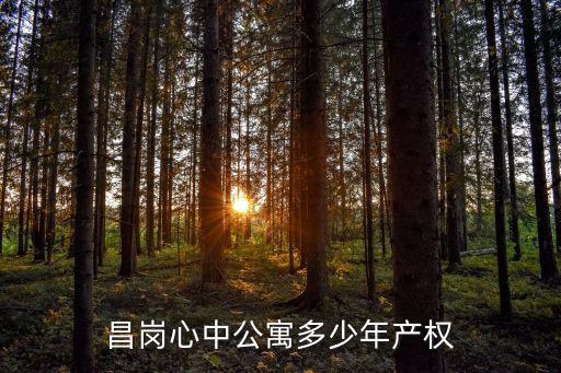 昌崗心中公寓多少年產(chǎn)權(quán)