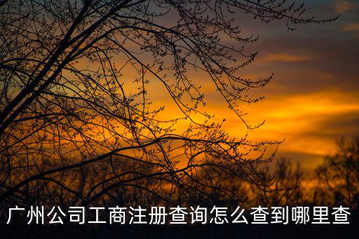 廣州公司工商注冊查詢怎么查到哪里查