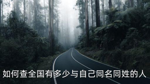 如何查全國有多少與自己同名同姓的人