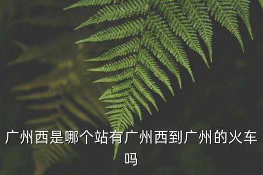 廣州西，廣州西在廣州那個(gè)位置