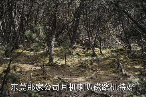 東莞那家公司耳機(jī)喇叭磁路機(jī)特好