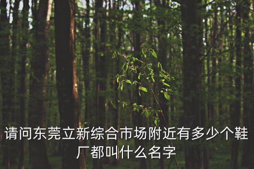請問東莞立新綜合市場附近有多少個鞋廠都叫什么名字