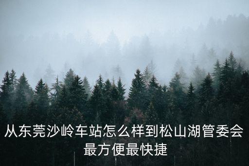 從東莞沙嶺車站怎么樣到松山湖管委會 最方便最快捷