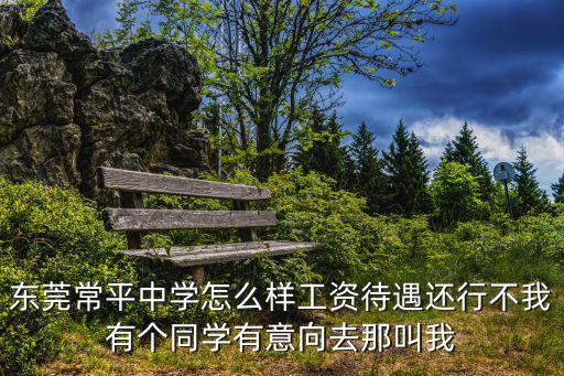 東莞常平中學怎么樣工資待遇還行不我有個同學有意向去那叫我
