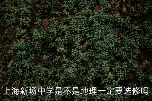 上海新場中學是不是地理一定要選修嗎