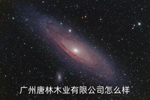 廣州唐林木業有限公司怎么樣