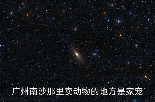 廣州南沙那里賣動物的地方是家寵