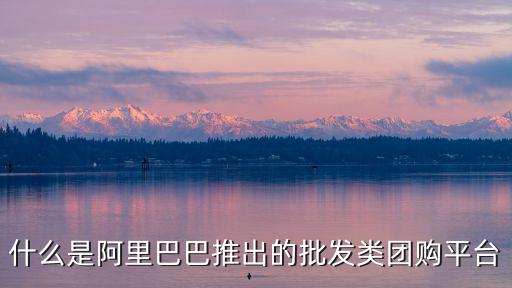 什么是阿里巴巴推出的批發(fā)類(lèi)團(tuán)購(gòu)平臺(tái)