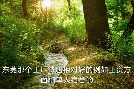 東莞那個工廠待遇相對好的例如工資方面和單人宿舍的