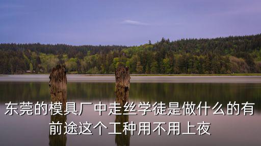 東莞萬(wàn)江春露模具廠，誰(shuí)知道東莞那個(gè)廠招模具學(xué)徒