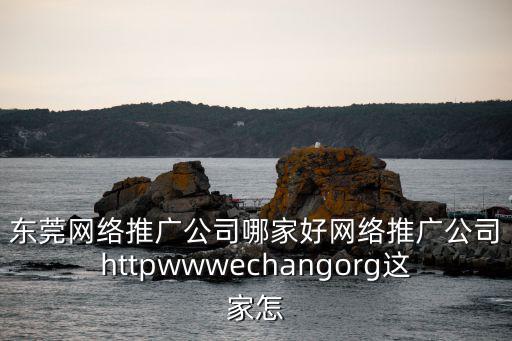 東莞網(wǎng)絡(luò)推廣公司哪家好網(wǎng)絡(luò)推廣公司httpwwwechangorg這家怎