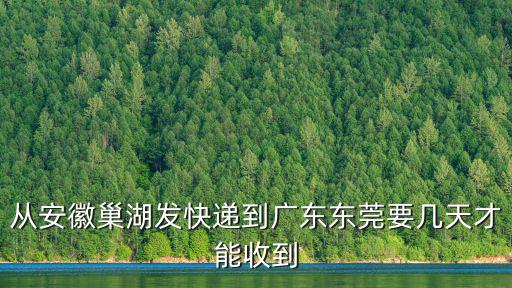 從安徽巢湖發快遞到廣東東莞要幾天才能收到