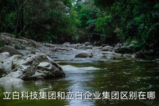 立白科技集團和立白企業集團區別在哪