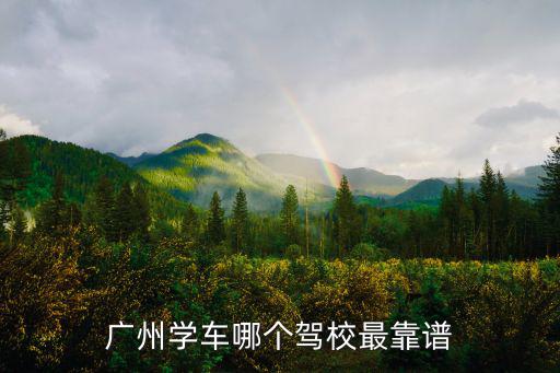 廣州學車，在廣州學車需要什么條件