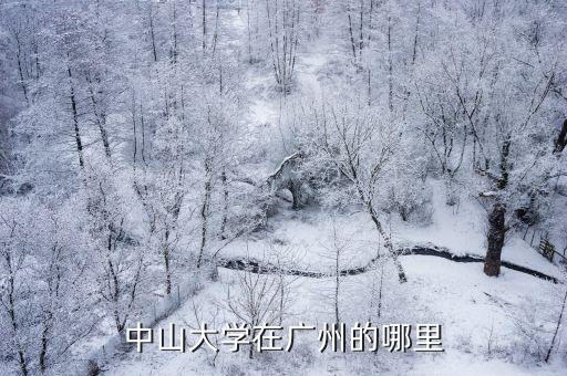 中山大學在廣州的哪里