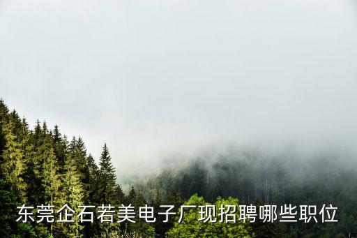 東莞企石若美電子廠現招聘哪些職位