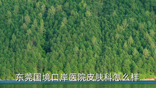 東莞國(guó)境口岸醫(yī)院皮膚科怎么樣
