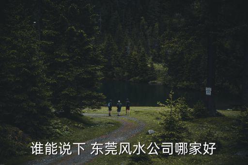 誰能說下 東莞風(fēng)水公司哪家好