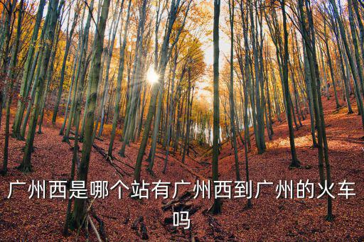廣州西是哪個(gè)站有廣州西到廣州的火車(chē)嗎