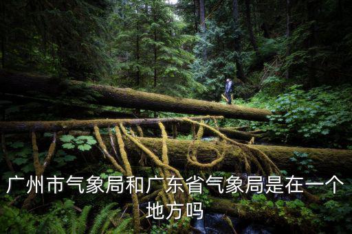廣州市氣象局和廣東省氣象局是在一個地方嗎