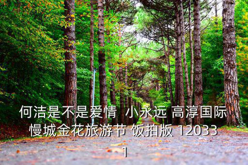 高淳金花節，何潔是不是愛情  小永遠 高淳國際慢城金花旅游節 飯拍版 120331