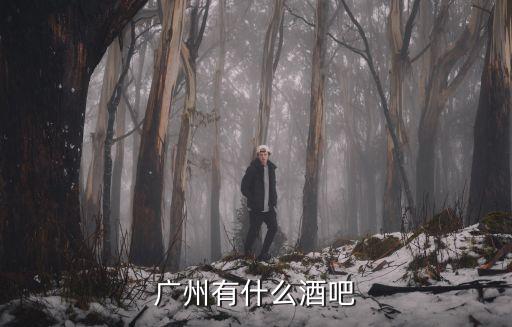 廣州有什么酒吧