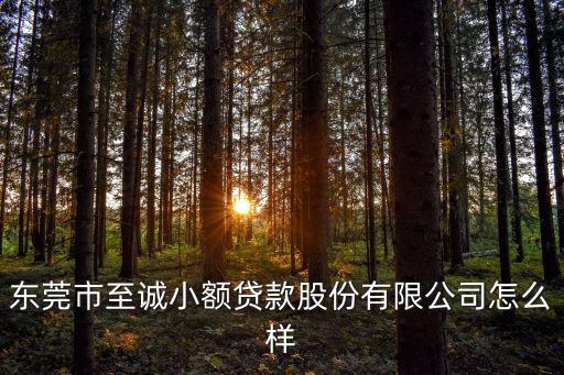 東莞市至誠小額貸款股份有限公司怎么樣