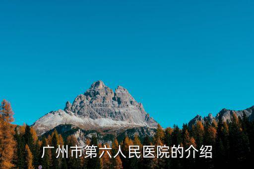 廣州市第六人民醫院的介紹