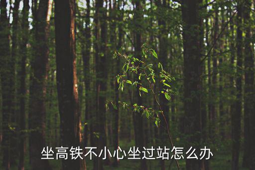 坐高鐵不小心坐過站怎么辦
