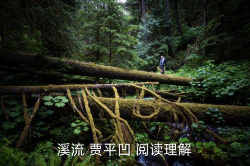 溪流 賈平凹 閱讀理解