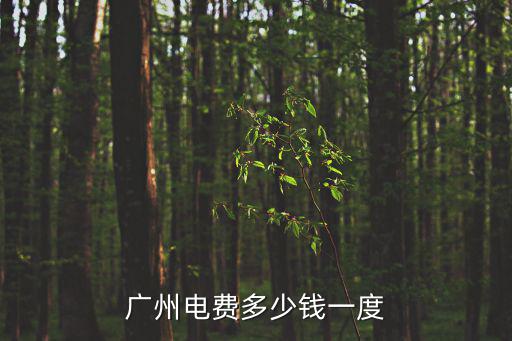廣州電費多少錢一度