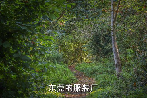 東莞的服裝廠