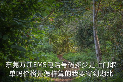 東莞萬(wàn)江EMS電話號(hào)碼多少是上門(mén)取單嗎價(jià)格是怎樣算的我要寄到湖北