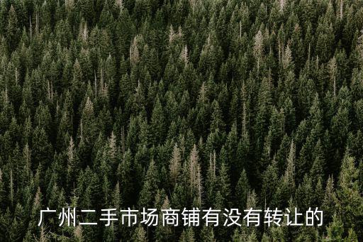 廣州商鋪出售，廣州天河區(qū)哪里有旺鋪要低價轉(zhuǎn)讓呢