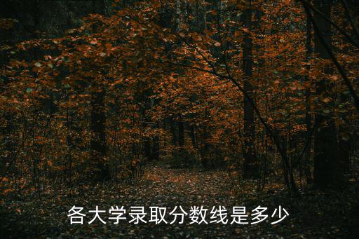 各大學錄取分數線是多少