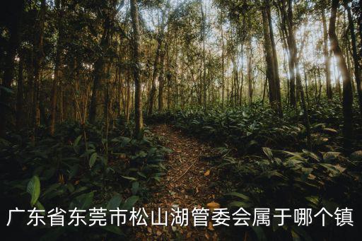 廣東省東莞市松山湖管委會屬于哪個鎮