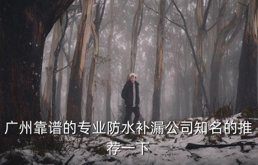 廣州靠譜的專業防水補漏公司知名的推薦一下