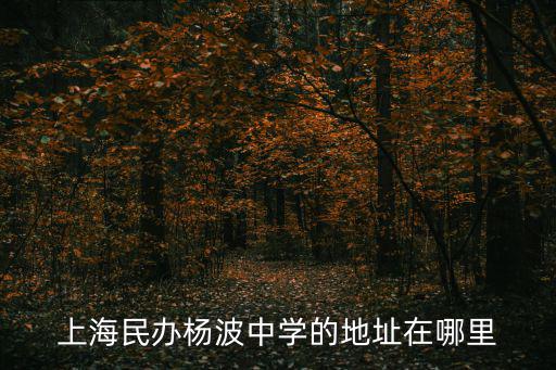 上海民辦楊波中學(xué)的地址在哪里