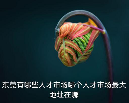 東莞有哪些人才市場哪個人才市場最大地址在哪