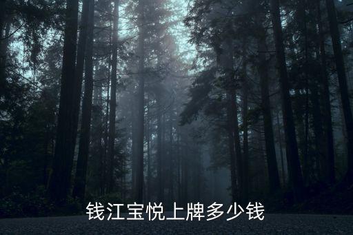 錢江寶悅上牌多少錢