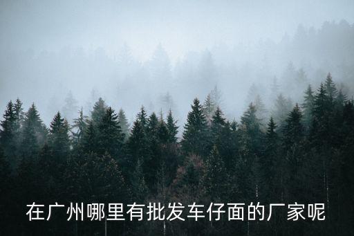 在廣州哪里有批發車仔面的廠家呢