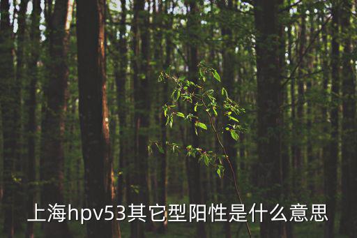上海hpv53其它型陽性是什么意思