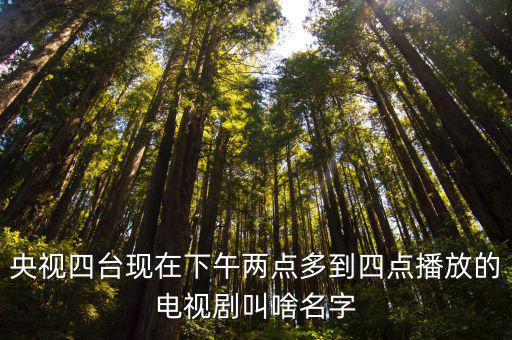 央視四臺現(xiàn)在下午兩點多到四點播放的電視劇叫啥名字