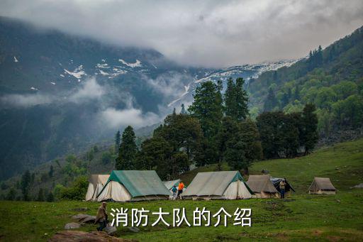 消防大隊(duì)的介紹