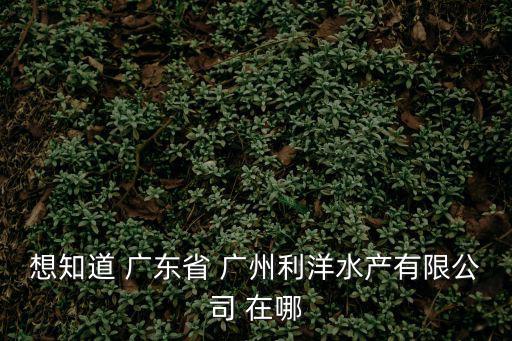 想知道 廣東省 廣州利洋水產(chǎn)有限公司 在哪