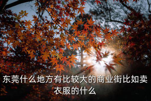 東莞什么地方有比較大的商業(yè)街比如賣衣服的什么