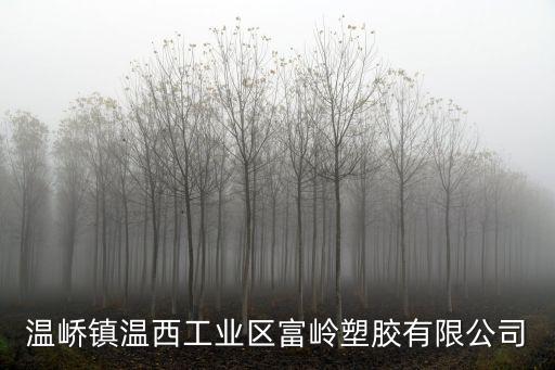 溫嶠鎮溫西工業區富嶺塑膠有限公司