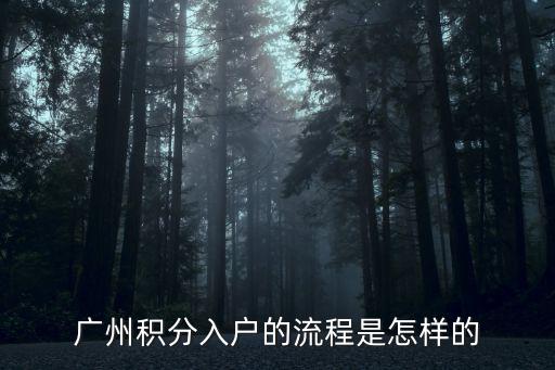 廣州積分入戶的流程是怎樣的