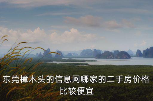 東莞樟木頭的信息網哪家的二手房價格比較便宜