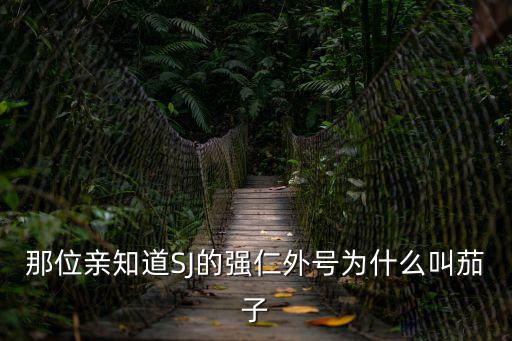 那位親知道SJ的強仁外號為什么叫茄子